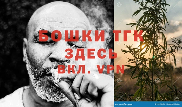 таблы Снежногорск