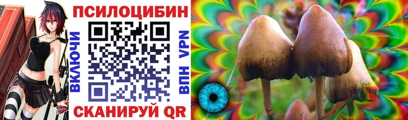 даркнет сайт  kraken маркетплейс  Галлюциногенные грибы Cubensis  Котлас 